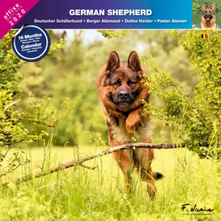Calendrier German Shepherd 2020