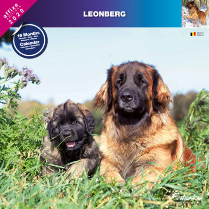 Calendrier Leonberg 2020