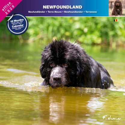 Calendrier Newfoundland 2020