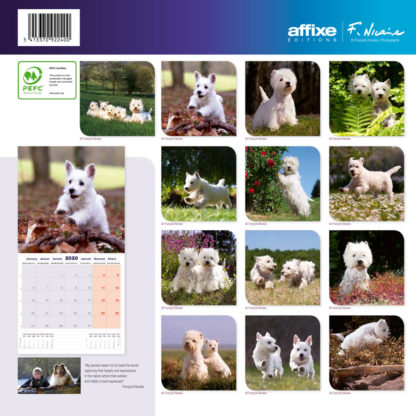 Calendrier West Highland White Terrier 2020