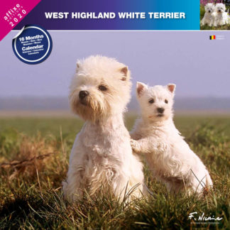 Calendrier West Highland White Terrier 2020