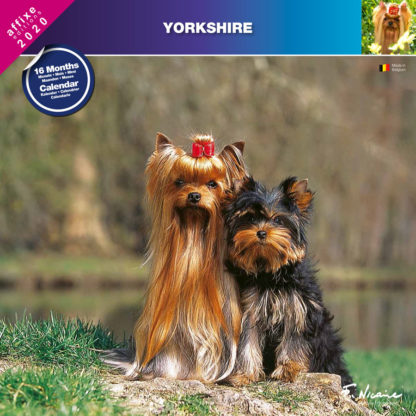 Calendrier Yorkshire 2020