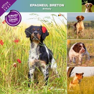 Calendrier Brittany 2021