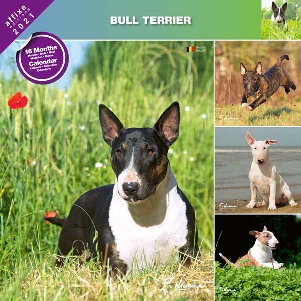 Bull Terrier 2021 Calendrier traditionnel 