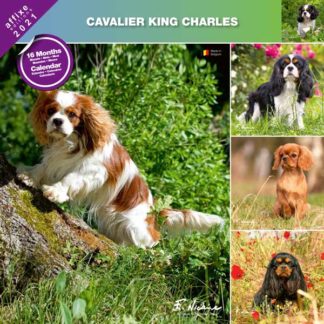 Calendrier Cavalier King Charles 2021