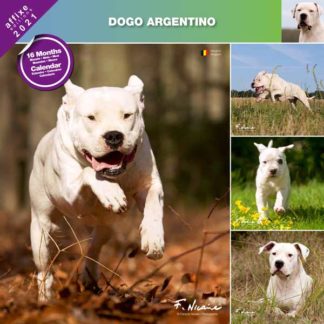 Calendrier Dogo Argentino 2021