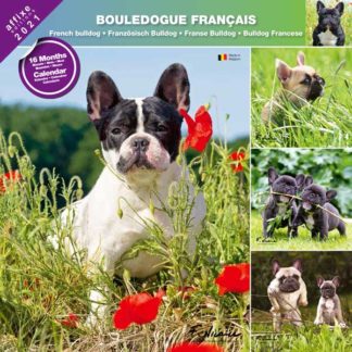 Calendrier French Bulldog 2021