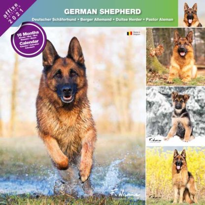 Calendrier German Shepherd 2021