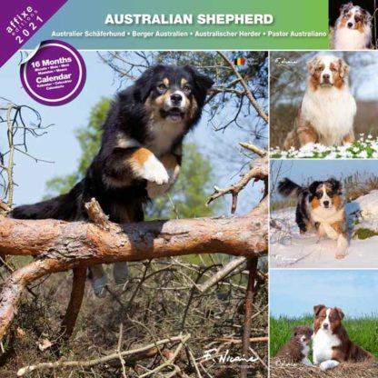 Calendrier Australian Shepherd 2021