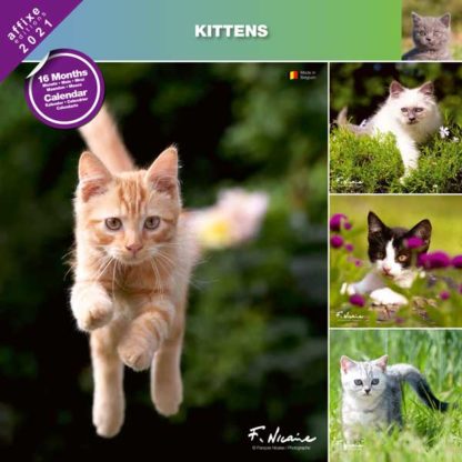 Calendrier Kittens 2021