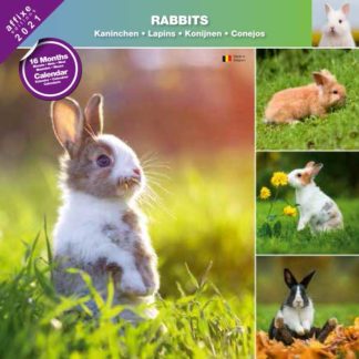 Calendrier Rabbits 2021