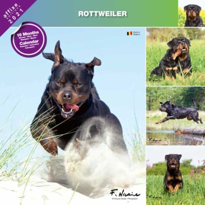 Calendrier Rottweiler 2021