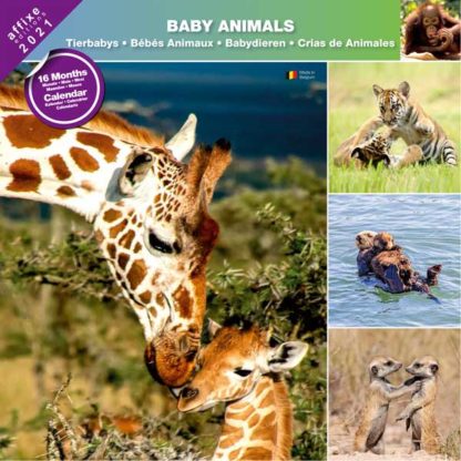 Calendrier Baby Animals 2021