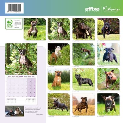 Calendrier Staffordshire Bull Terrier 2021