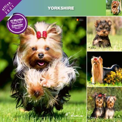 Calendrier Yorkshire 2021