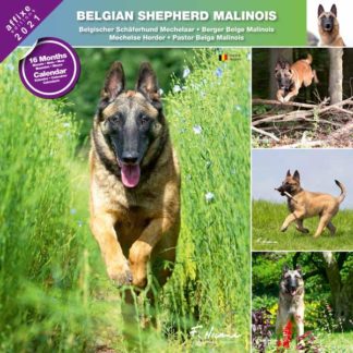 Calendrier Belgian Shepherd Malinois 2021