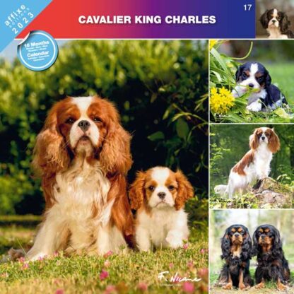 Calendrier Cavalier King Charles 2023