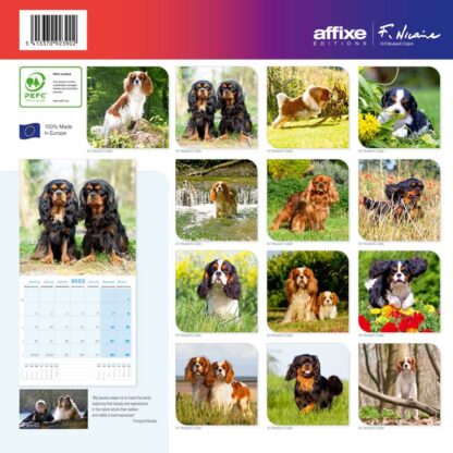Calendrier Cavalier King Charles 2023