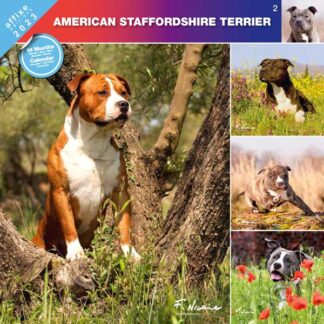 Calendrier American Staffordshire Terrier 2023