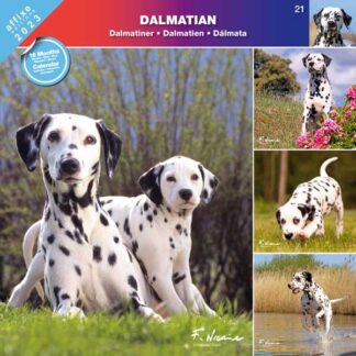 Calendrier Dalmatian 2023