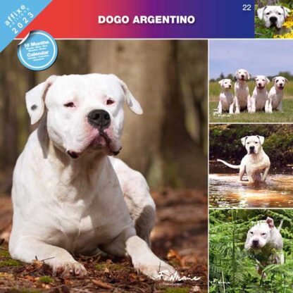 Calendrier Dogo Argentino 2023
