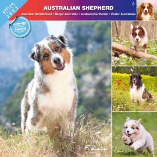 Calendrier Australian Shepherd 2023