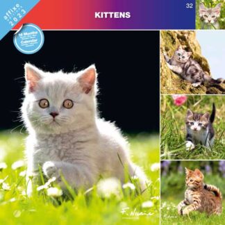 Calendrier Kittens 2023