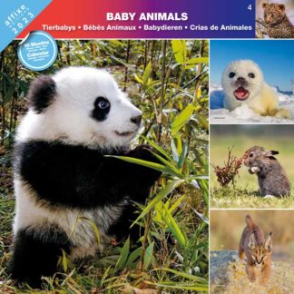 Calendrier Baby Animals 2023