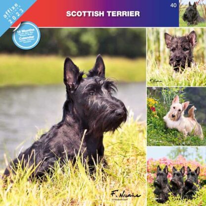 Calendrier Scottish Terrier 2023