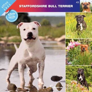 Calendrier Staffordshire Bull Terrier 2023
