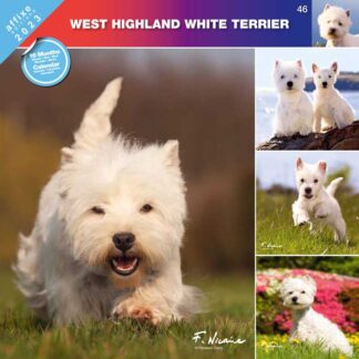 Calendrier West Highland White Terrier 2023