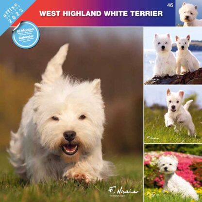 Calendrier West Highland White Terrier 2023